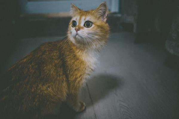 零零碎碎